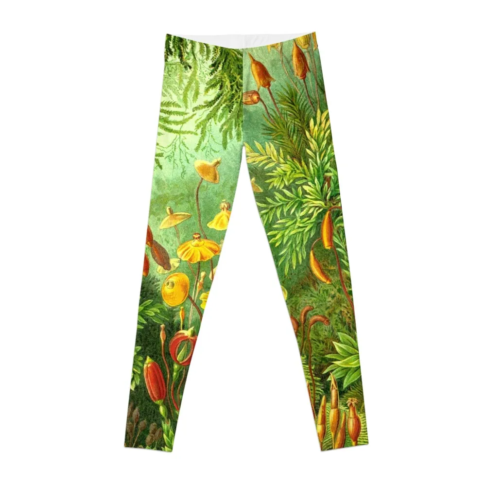 

Moss - Ernst Haeckel Leggings Legging sport gym sportswear woman gym womans Women's sports Womens Leggings