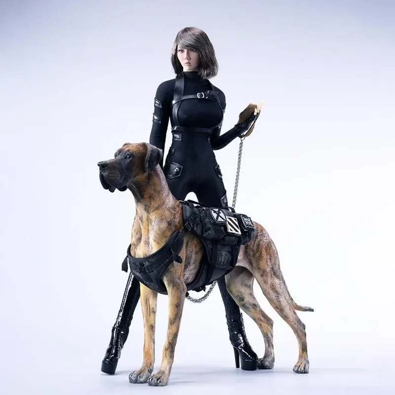 In Stock JXK 1/6 Scale Simulated Resin Great Dane Dog Model Car/desk Accessories Animal Model for 12in Action Figure Decoration