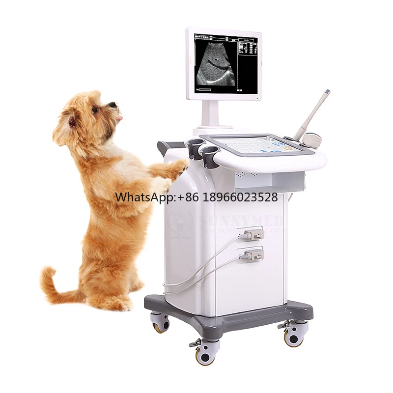 

SY-A019 Veterinary Black & White Standard Ultrasound Machine Digital Scanning Ultrasound Trolley