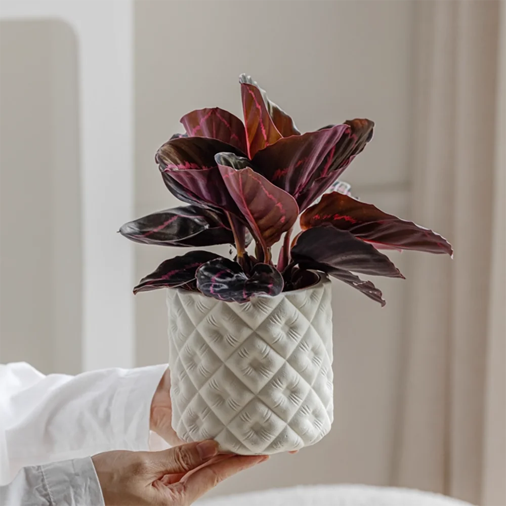 

Silicone Mold For Cement Planter - Wabi-Sabi Concrete Flower Pot for Pothos/Succulents, Modern Geometric Plant Pot with Drainage