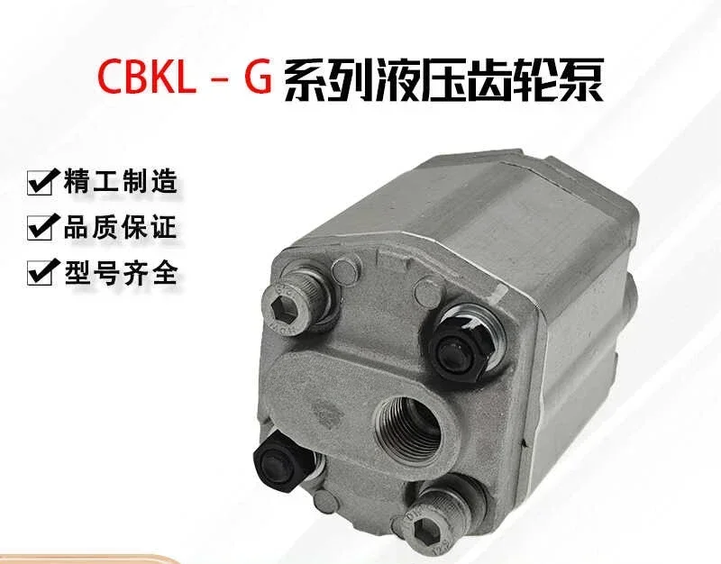 Hydraulische Zahnradpumpe CBKL-G2200BL G2420BL CBKL-G2160 Netzteil Ölpumpe