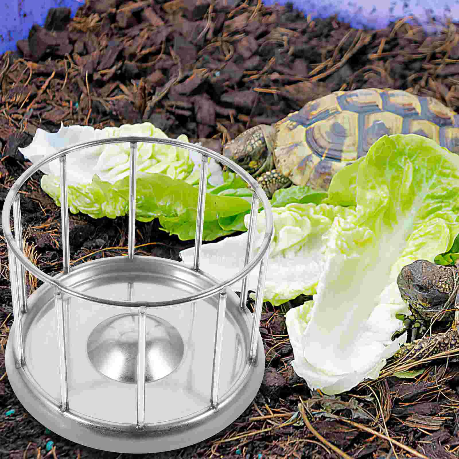 Tortoise Food Bowl Animals Crawler Pet Feeding Dish Plate Glass Decorative Reptile