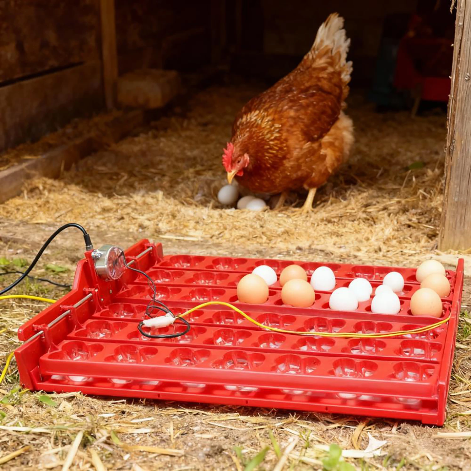 36/144 Eggs Automatic Incubator Turntable 110V/220V/12V Motor Chicken Duck Goose Birds Poultry Eggs Hatching Incubation Supplies