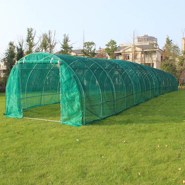 Agricultural Foldable Greenhouse Grow Tent Garden Hydroponics Plant Room Heavy Duty Steel Frame Clear PVC Cover Shed
