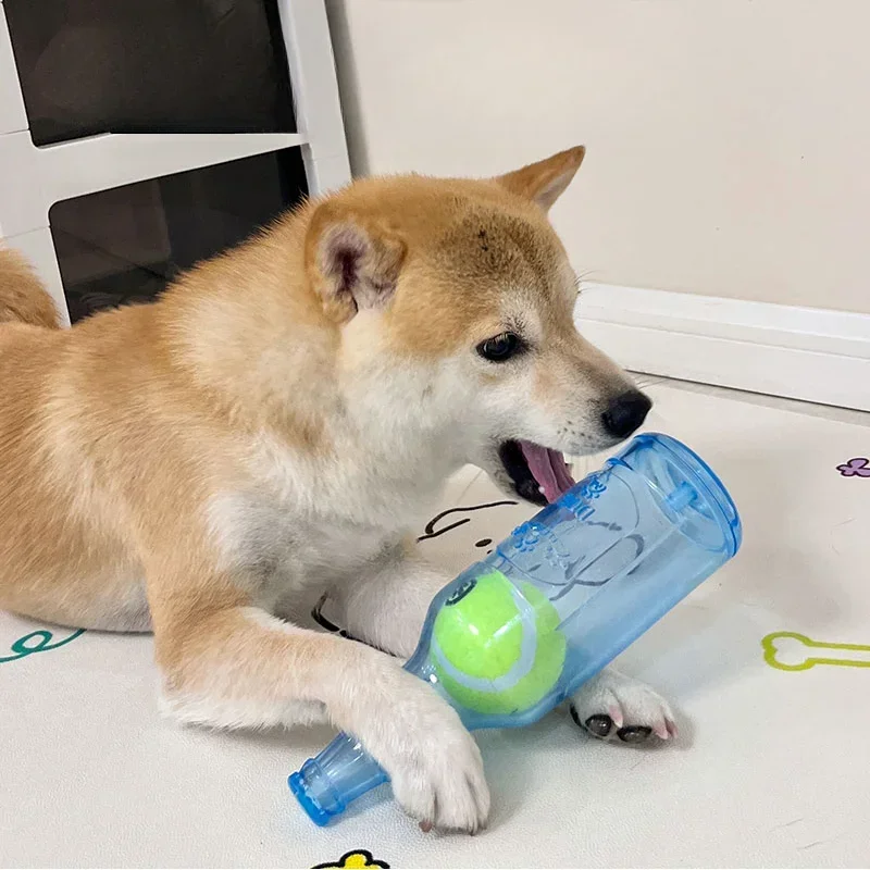 Haustier Kauspielzeug TPR Bissfestigkeit Bierflasche mit Tennisball Spielzeug Welpen Zähneknirschen Hund Kauen Quietschendes interaktives Spielzeug