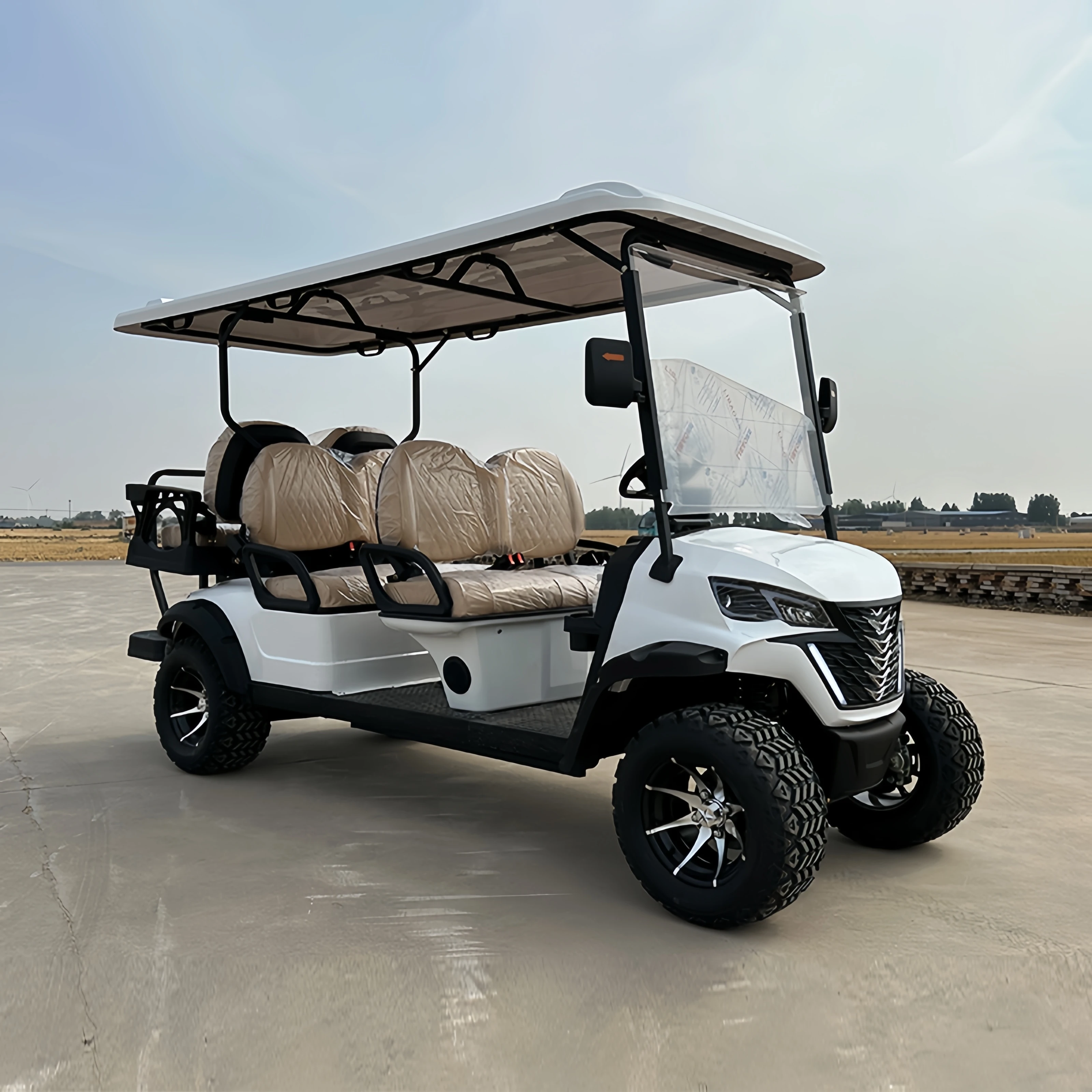 Cheap gasoline golf cart 4 seater battery powered golf car lithium battery family golf cart