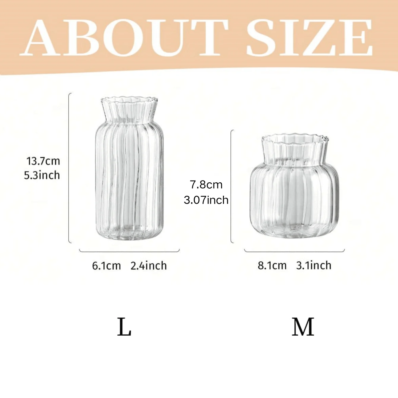 Nordic Transparent Glass Vase – Hydroponic Terrarium Flower Bottle (1/2/3pcs) 6