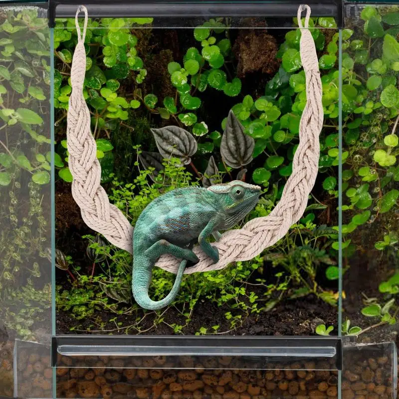 Reptile Vines Toys Hermit Crab Toys With Suction Cup Hooks Reptile Tank Terrarium Accessories Hermit Crab Climbing Jute Rope