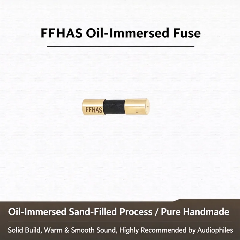 FFHAS Oil-Filled Hi-Fi Audio Fuse Special Fuse for Amplifiers Decoders and Power Amplifiers SK