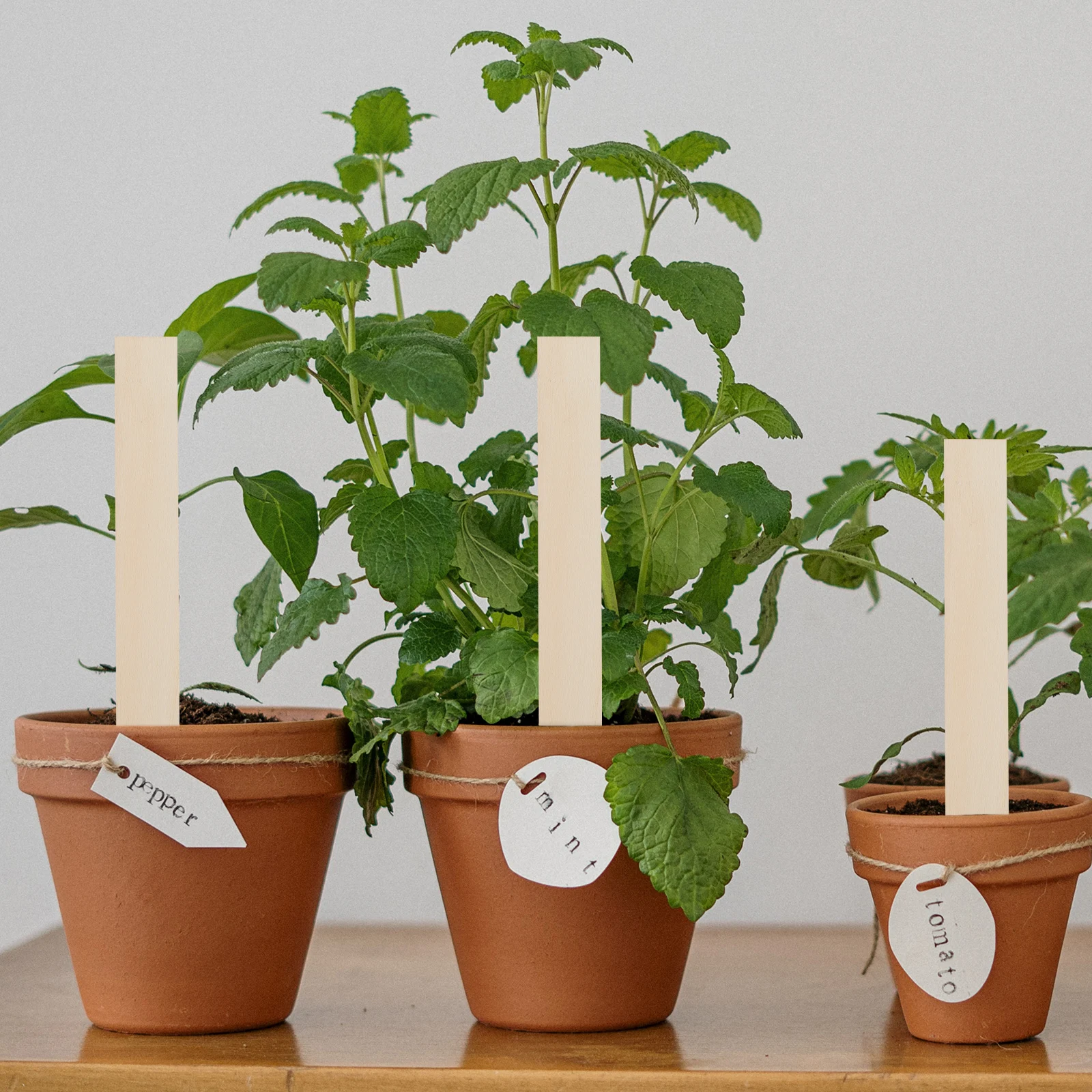 

50Pcs Wood Plant Labels Reusable Garden Markers Wooden Tags for Flower Pots Lawn Bonsai Garden Decor Plant Label