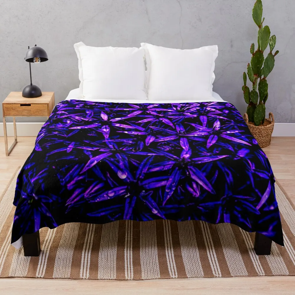 Purple flowers, Alliums, in the rain Throw Blanket Cute For Decorative Sofa Picnic Comforter Blankets