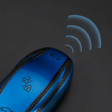 10 best sales tesla key fob case - №1