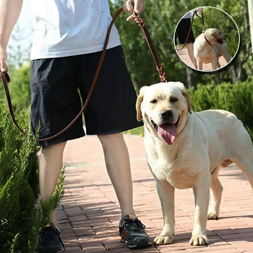 Thumbnail 4 - #86 Retractable Dog Leads Deals & Discounts
