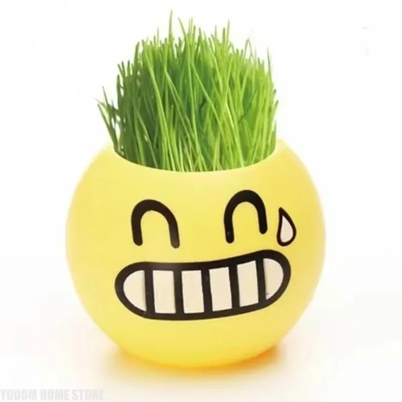 Mini Transparent Observation Planter, Cool Styling DIY Flower Pot, Creative Micro Landscape Desktop Plant Decoration