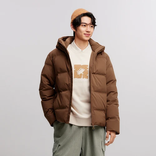 أسفل المعاطف