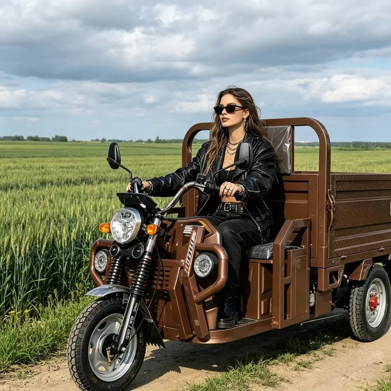 Electric Tricycle 1200W Passenger Cargo 3 Wheel Transport Vehicle Open Body For Adults