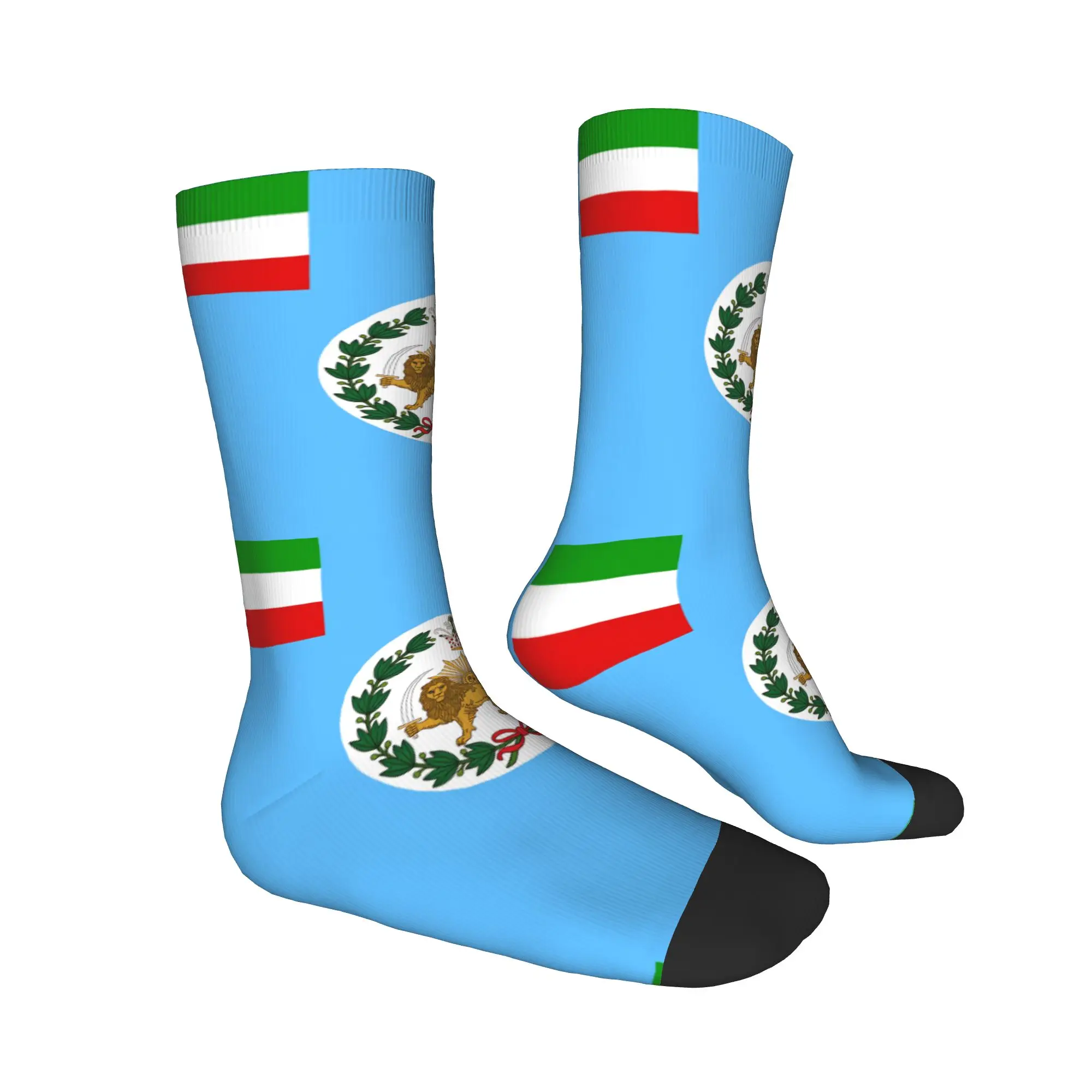 

Носки с императорским гербом Ирана, весенние модные носки для взрослых мужчин, удобные носки, дизайнерские спортивные нескользящие носки для бега