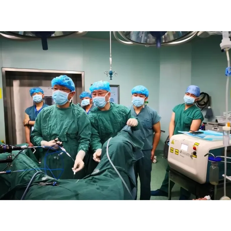 DaHua DH-F 200 365 550 800 Thulium Laser Medical Reusable Surgical Laser Fiber for Urology Kidney Stone Holmium Laser Fibers