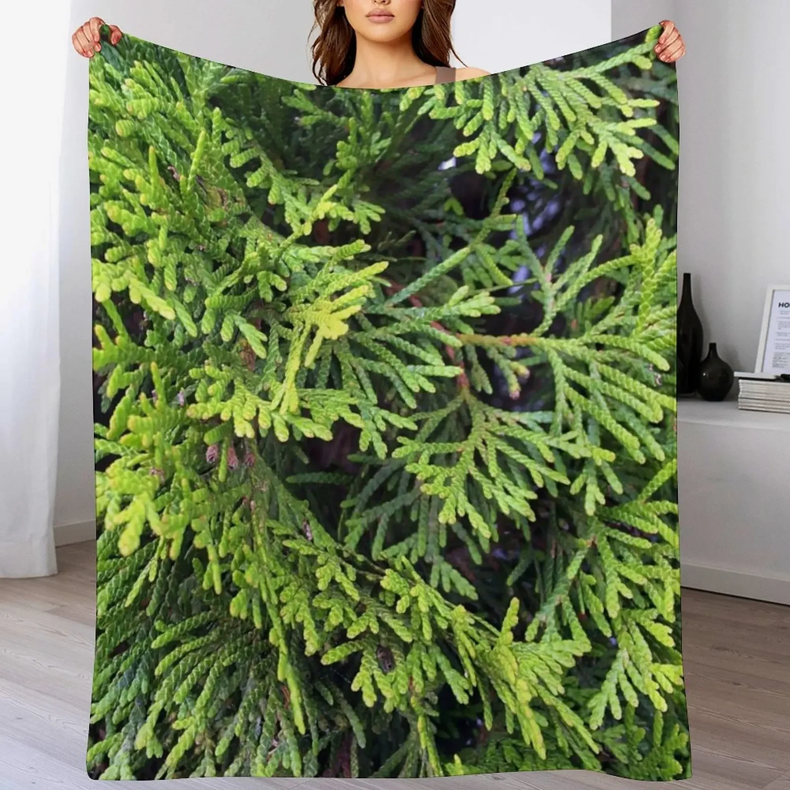 

Cedar Throw Blanket Designers Decoratives warm winter Fashion Sofas Blankets