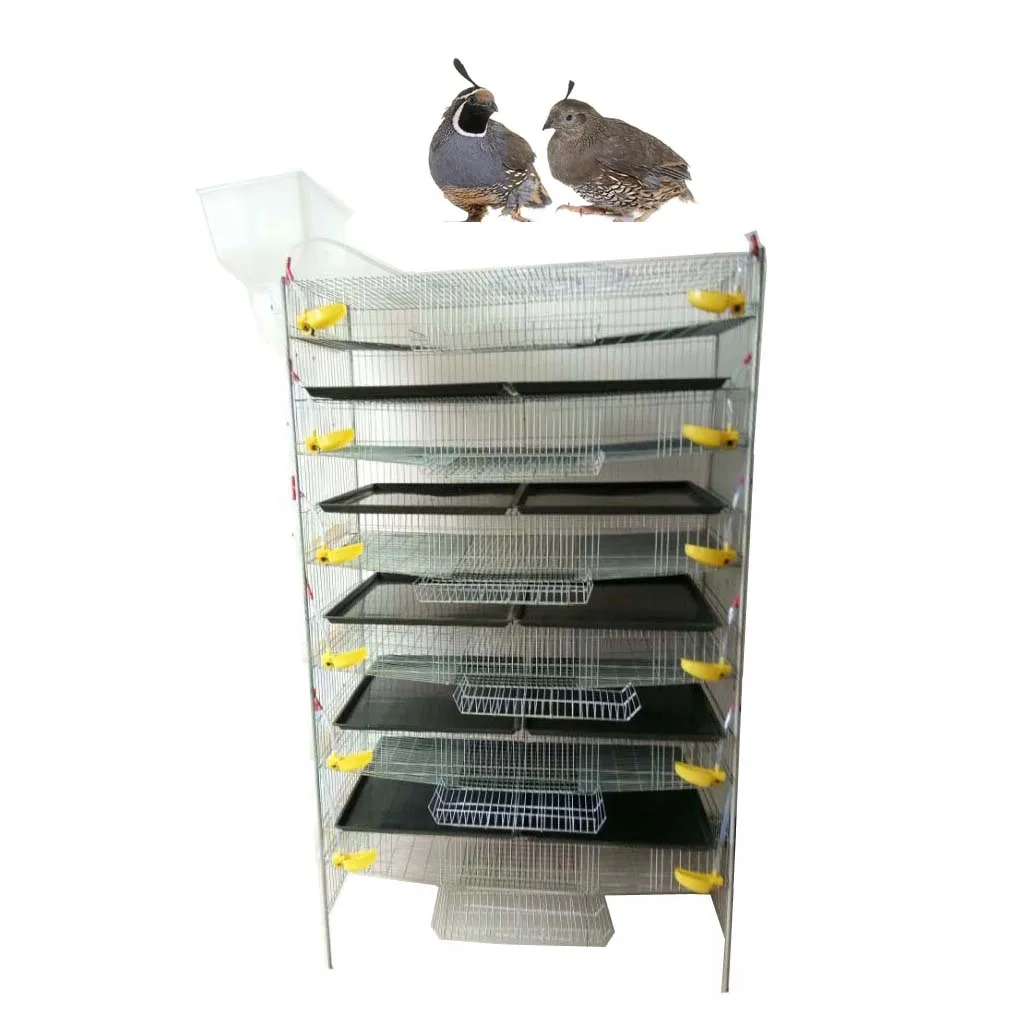 Best Selling Poultry Farm Equipment H Type Quail Cage for Sale with Egg Tray