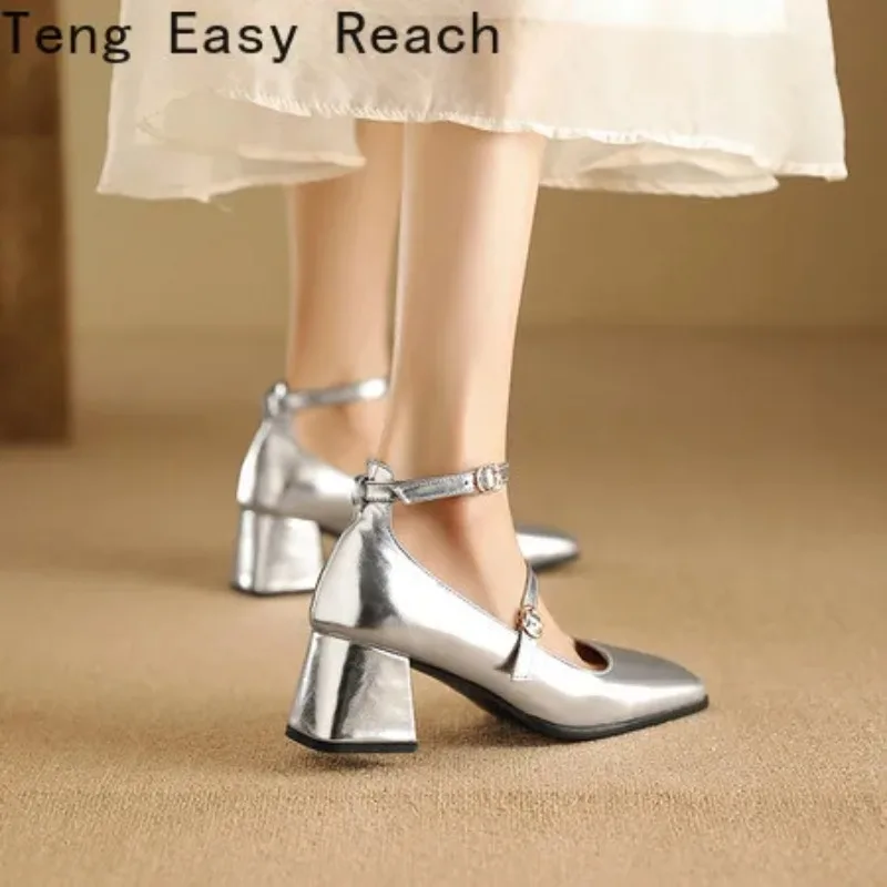 Luxury Silver Mary Jean Shoes Women Square Toe Buckle Strap Pumps Thick Heels Woman High Heeled Sandals Ladies Mirror Heels 2024