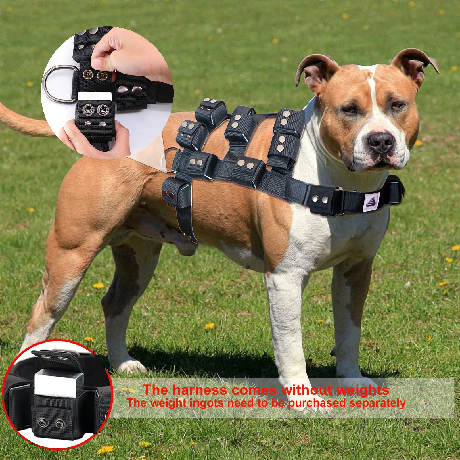 Imagem -02 - Arnês para Cães com Serviço de Bolsas Colete Ponderado Equipamento para Cães Pequenos Médios Grandes Puxando Andando Treino Peso Livre