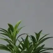 

Для Black Decker Hpb18 Fs180 A1718 A18NH BD18PSK EPC18 HP188F2B KC1800S 18 В 6000 мАч аккумуляторная батарея для инструментов