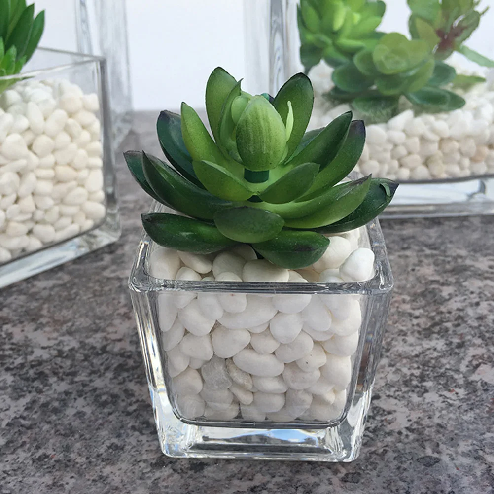 

2 Pcs Square for Flowers Floral Containers Glass Desktop Plant Decoration Terrarium