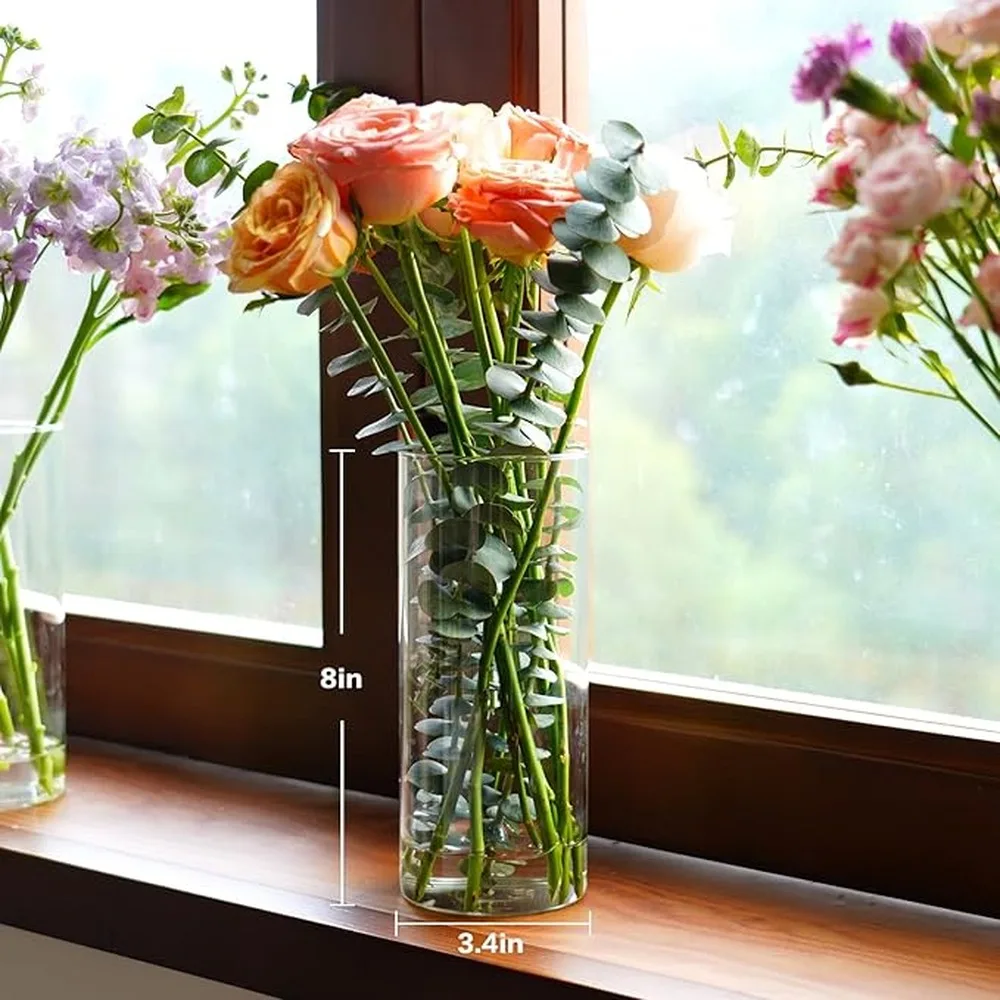 High Borosilicate Glass Glass Vase Transparent Hydroponic Cylinder Vessel Modern Minimalist Home