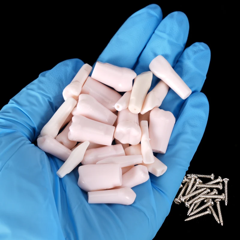 32Pcs Dental Removable Teeth Model Screw-in Replacement Simulation Teeth for Dentistry Technician Practice Training ﻿