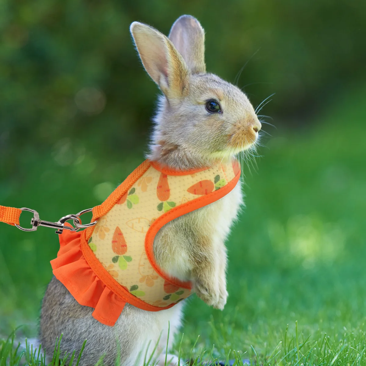 A pet universal rabbit chest strap set with cute radish print outdoor traction rope