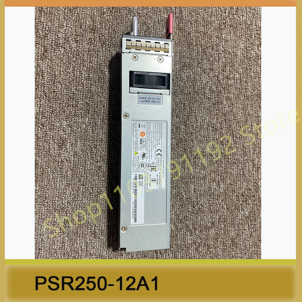 Redundant power Supply Module PSR250-12A1
