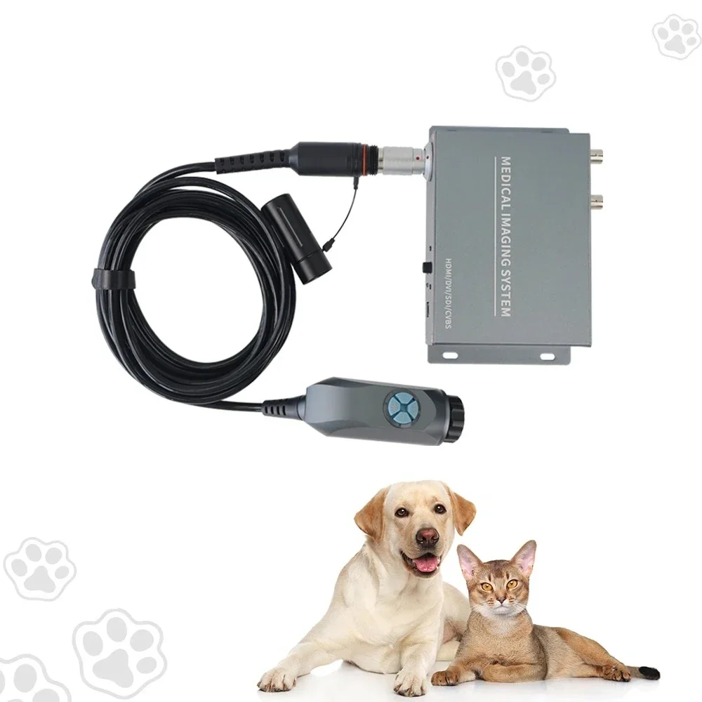 1080P Portable Veterinary Endoscope for Field Diagnostics with ENT Surgery