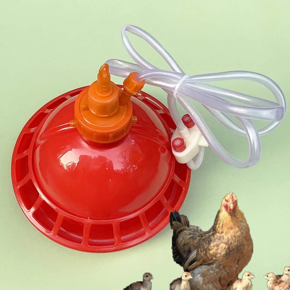 Bebedero Plasson para el día, bebedero con campana colgante de plástico para pollito antiguo, equipo asociado para agricultura y asar automático, 1 Juego como muestra