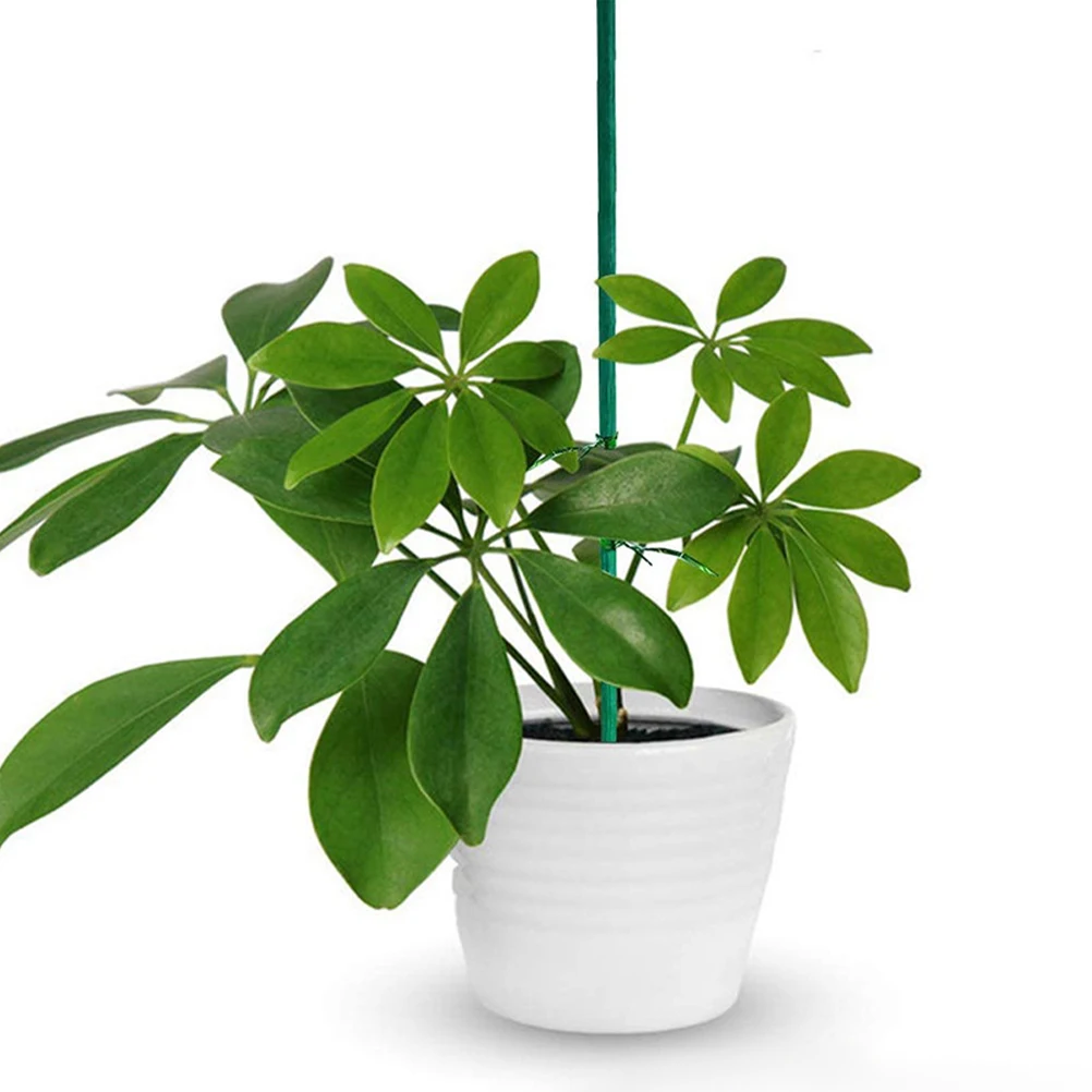 

40 Pcs Bamboo Sticks Plant Support Rods Gardening Supplies Long Lasting Versatile Stakes Green Flower Holders Adjustable Depth