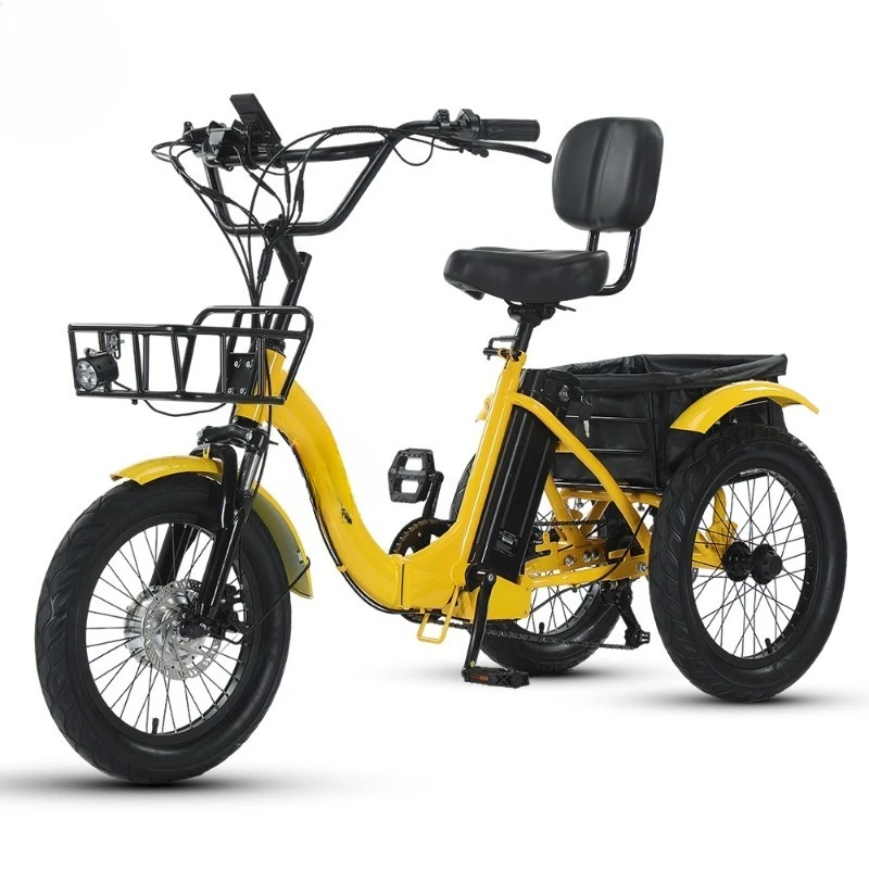 Electric Tricycle 18 Inch Traqoo Lithium Battery Powered Three Wheeler with Pedal Assist and Fat Tires for Snow