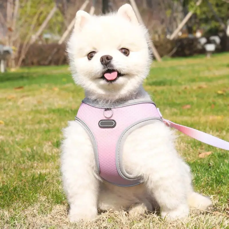 Ajustável poliéster arnês e trela conjunto para cães pequenos, cachorro, colete de gato, caminhada ao ar livre, acessórios pet