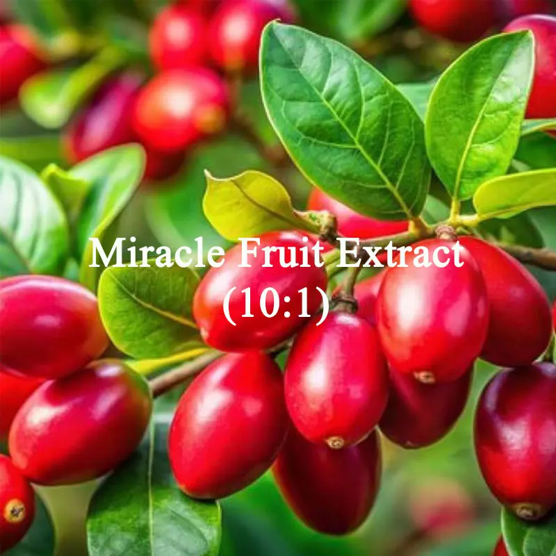 

Customized Kraft paper bag Packing for Miracle Fruit Extract 10:1 for Fast Delivered