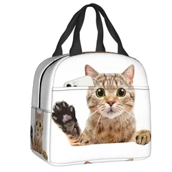 Cute Scottish Cat Peeking Lunch Bag Leakproof Picnic Insulated Warm Cooler Thermal Lunch Box For Women Kids Tote Container