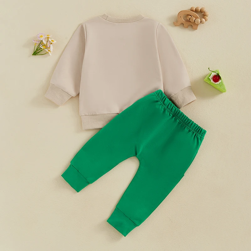 Infant Outfit Set Green Shamrock Graphic Print Crew Neck Sweater Matching Trousers 2-Piece Spring Clothing Ensemble