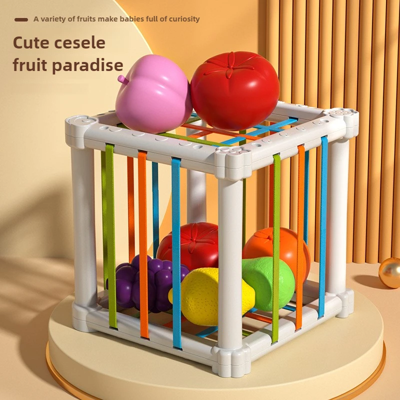 Jouets sensoriels éducatifs pour enfants, Classification des formes et des couleurs, entraînement à la poignée des doigts, reconnaissance précoce des fruits