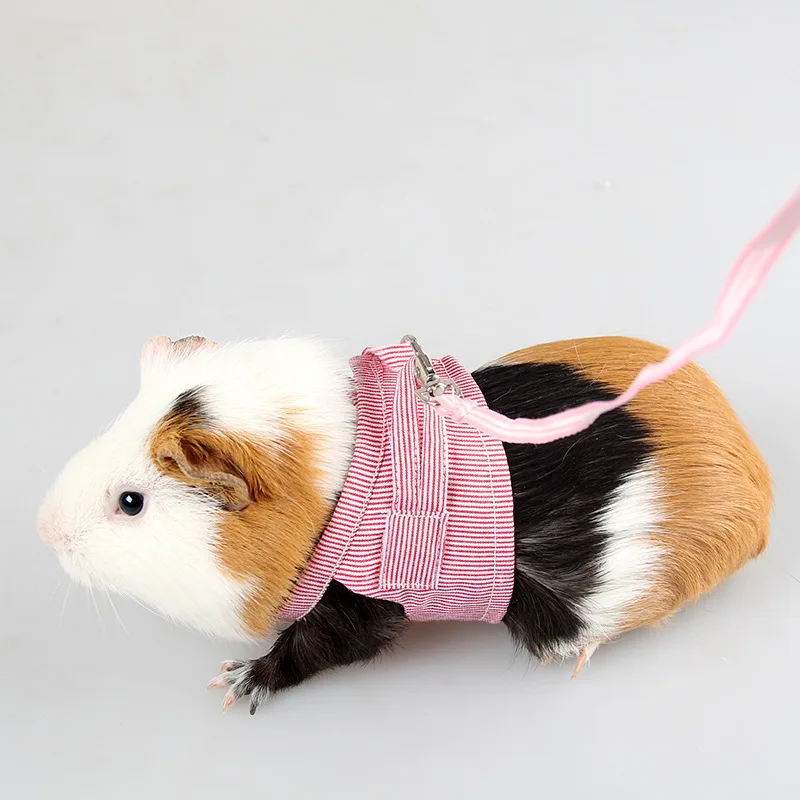 Small Pets Chest Strap Outdoor Traction Rope Adjustable Harness Leash Vest For Hedgehog Chinchilla Dutch Guinea Pig Pet Supply