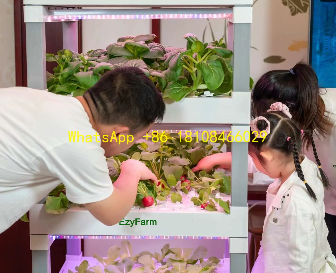 

Microgreens Kitchen Tower Indoor Farming Grow Smart System Your Personal Indoor Farm