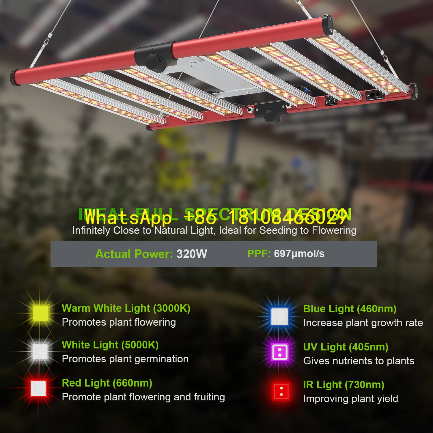 

Body for Medical Plant Bloom IP65 Rating 320W Commercial Full Spectrum LED Grow Light Dimmable Aluminum