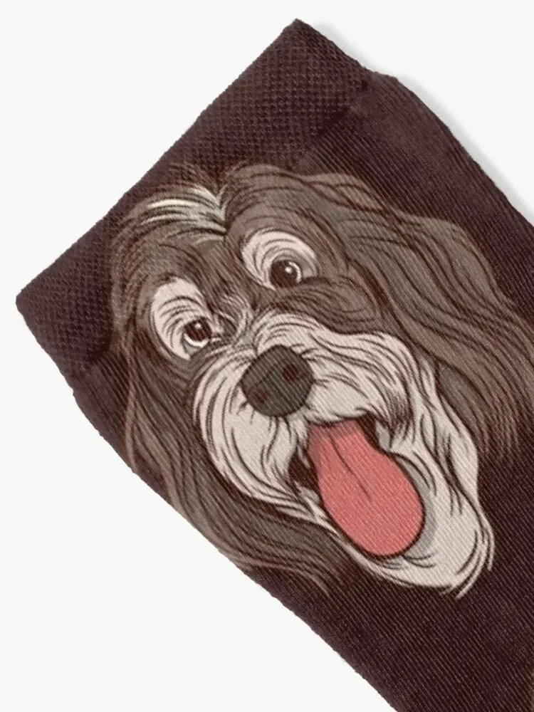 Bernedoodle dog Socks gift luxury hiking Ladies Socks Men's