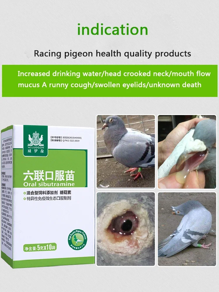 Pigeon Six Vaccine Oral 5g*10 Bags Pigeon with Young Pigeon Crooked Neck Turn Head Cough Eye Face Swelling Prevention of Drinkin