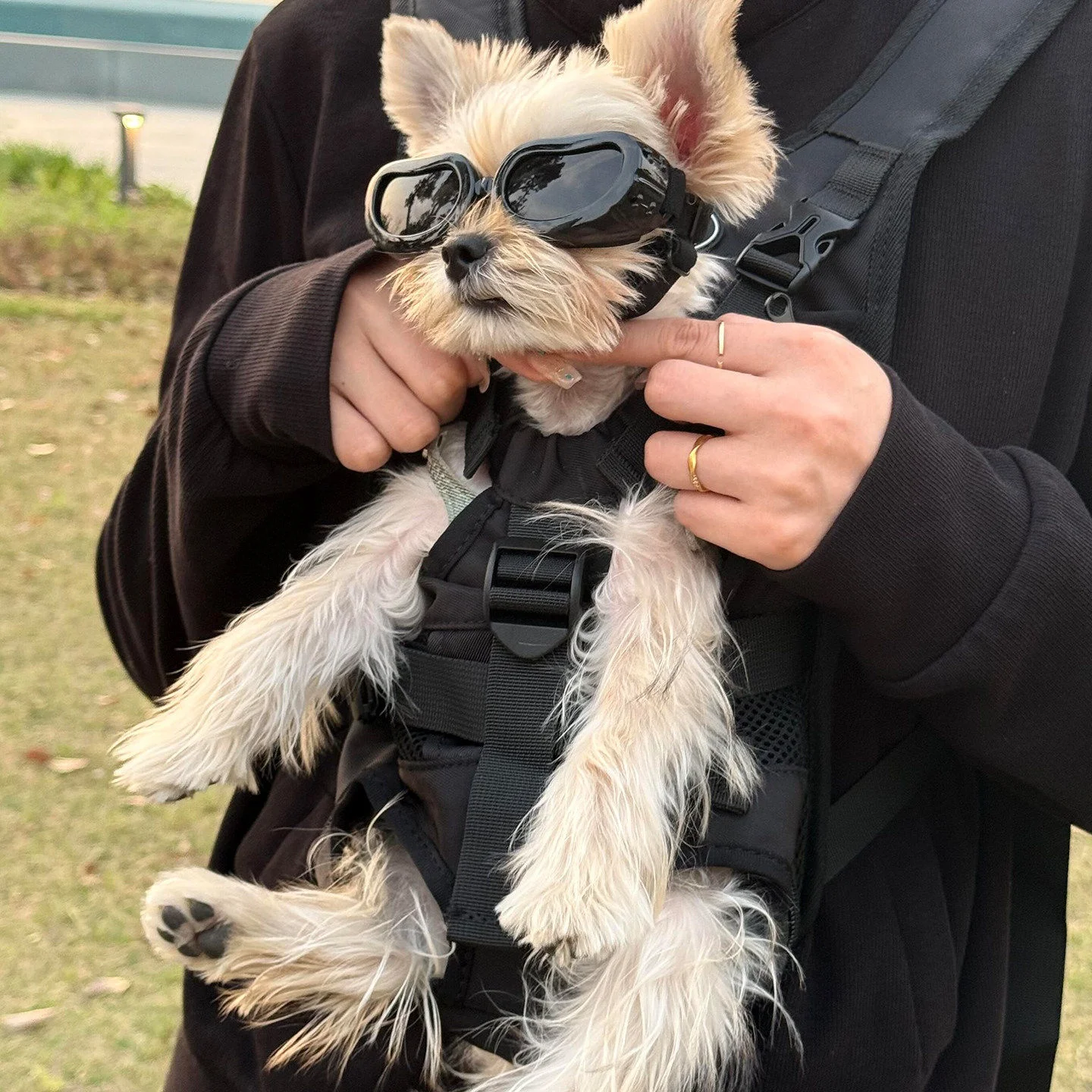 mochila-de-ciclismo-para-animais-de-estimacao-arnes-para-caes-mochila-para-gatos-equipamento-de-ciclismo-para-caes-pequeno