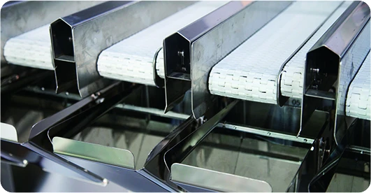 Automatic Pack Pouch Food Weighing Packing Machine Dehydrated Fruits and Vegetables Bag Linear Weigher Package
