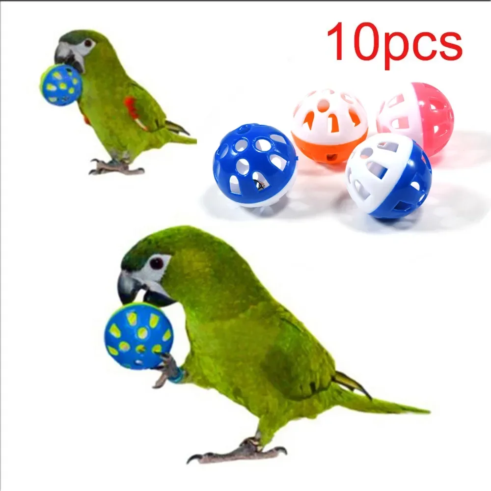 10Pcs Pet Parrot To…