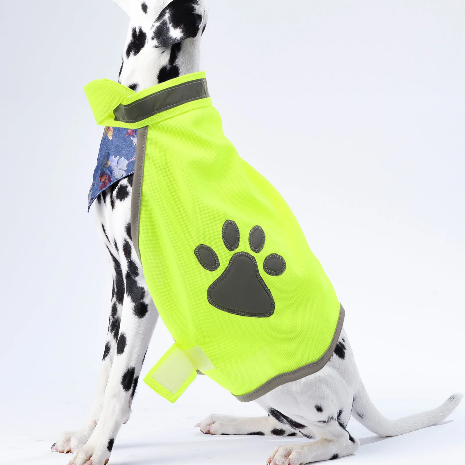 

Dog Vest M Reflective Pet Safety Coat Breathable Gear for and Outdoor Activities Reflective Dog Vest